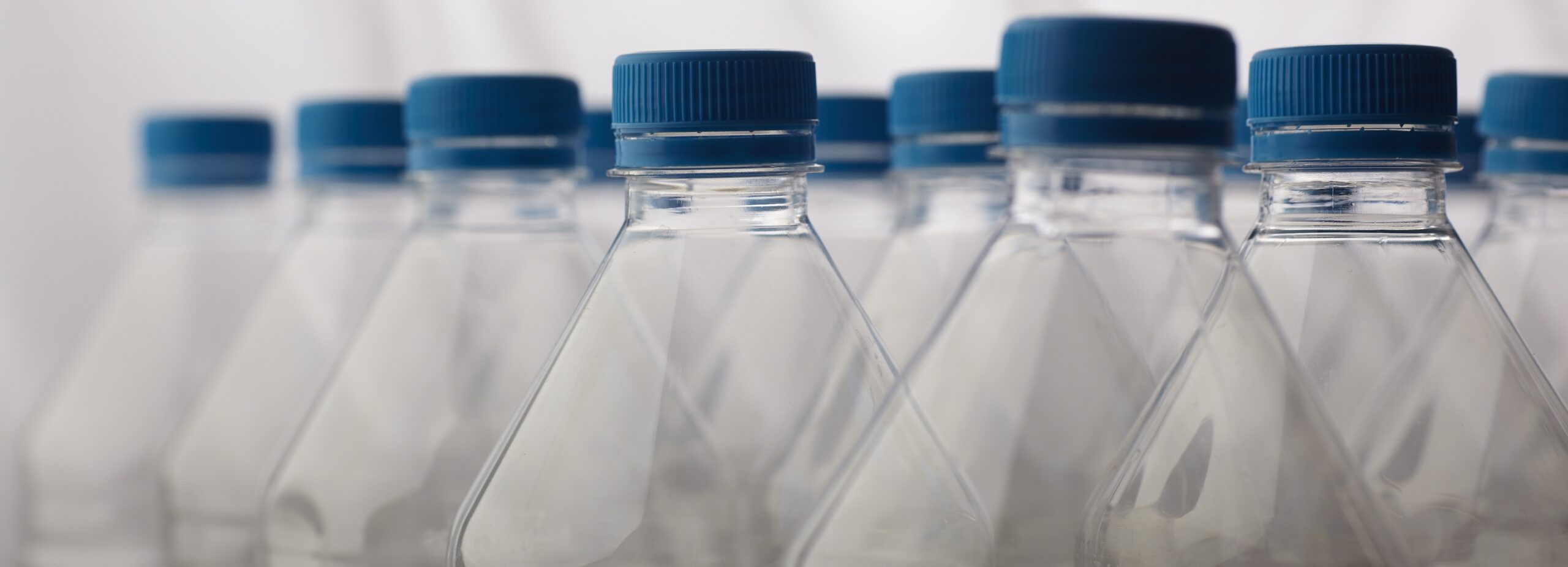 Исследование: микропластик может попадать из кишечника в другие органы