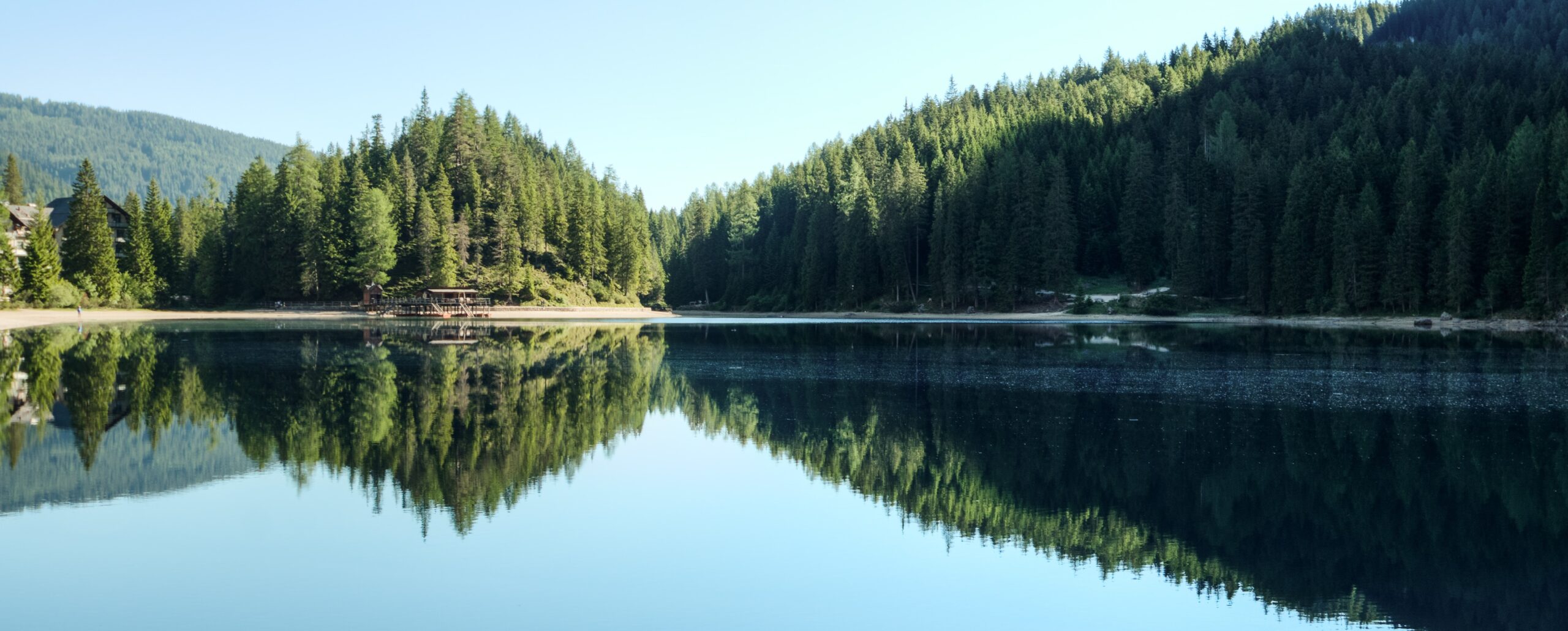 Чем более биоразнообразная среда, тем лучше для психического здоровья