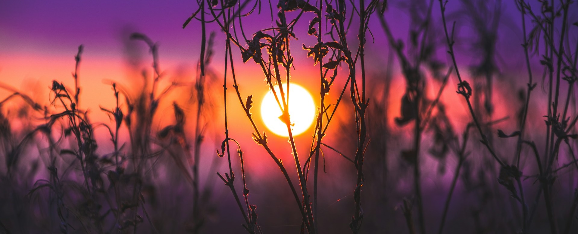 Благодарность избавляет от скуки и делает жизнь более значимой