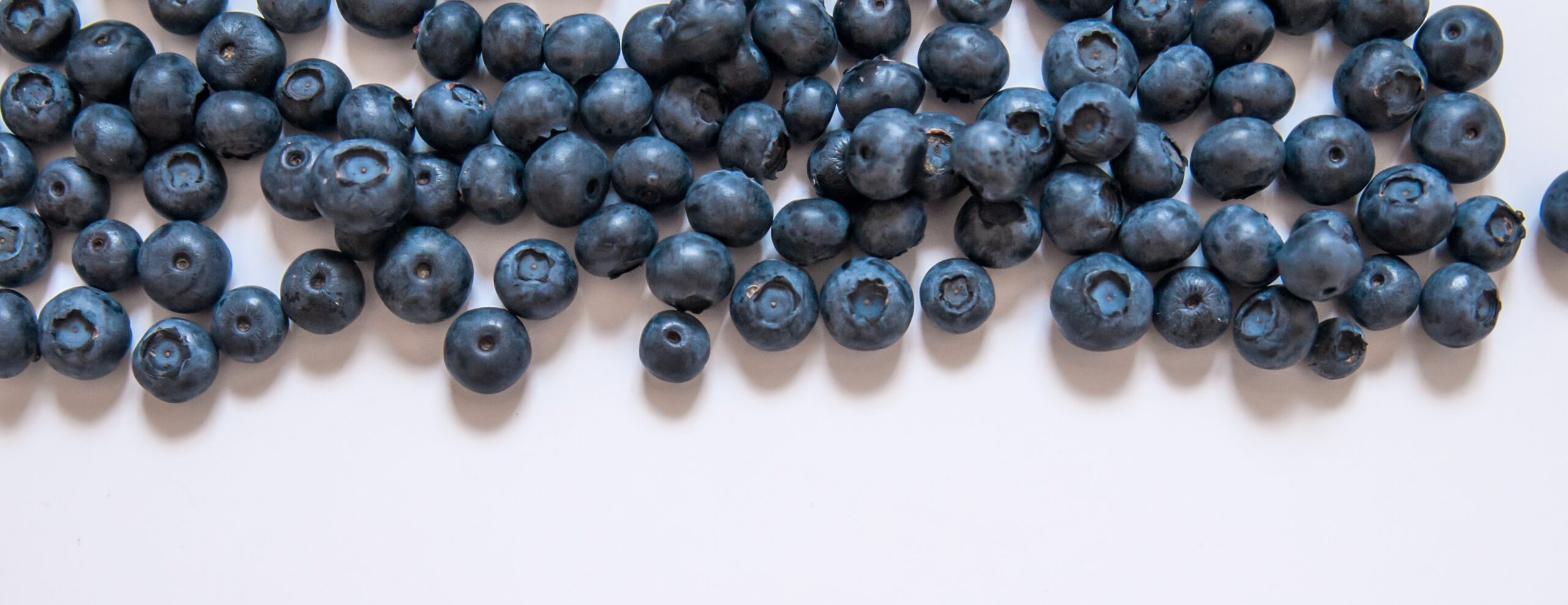 Черника может замедлить когнитивное старение