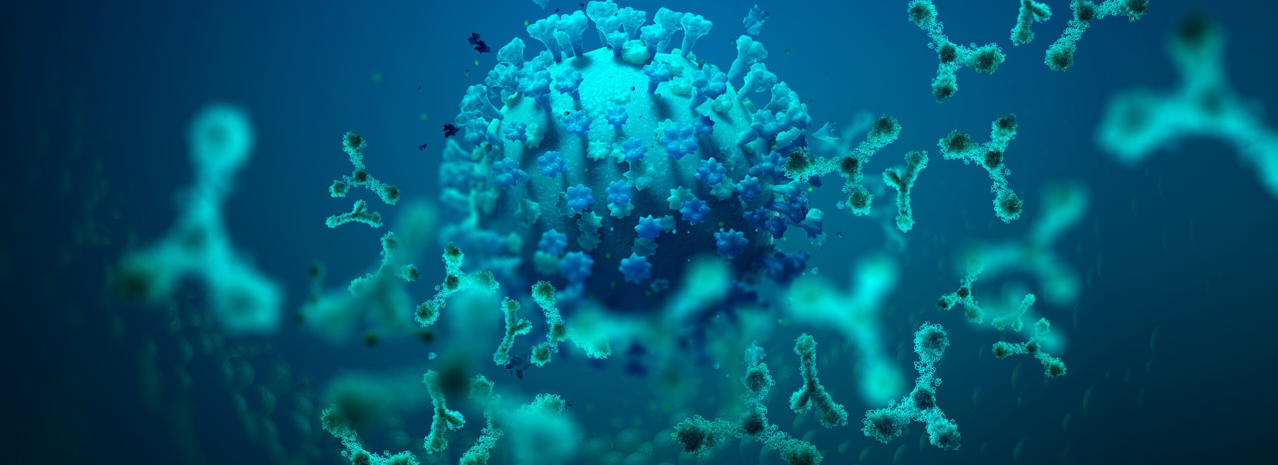 Антитела класса IgG назвали движущим фактором старения