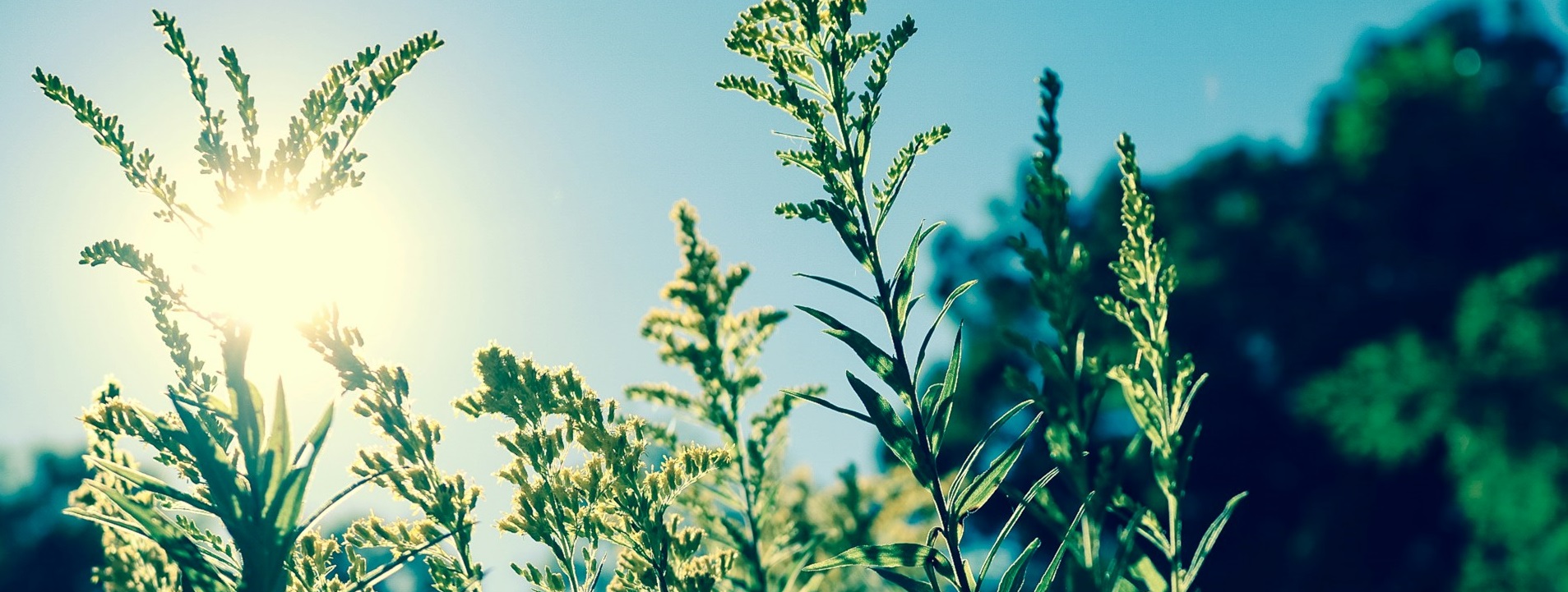 Более 150 000 случаев смертей связано с волнами жары