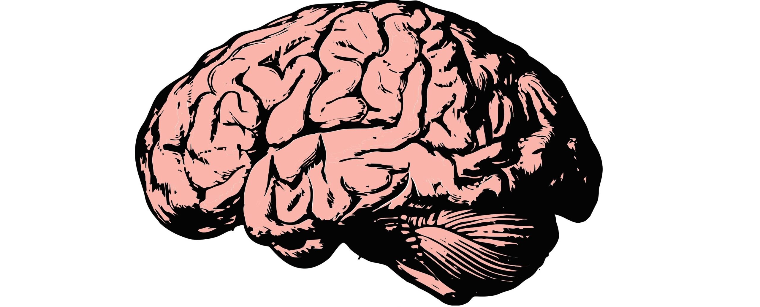 Семь интересных фактов о человеческом мозге