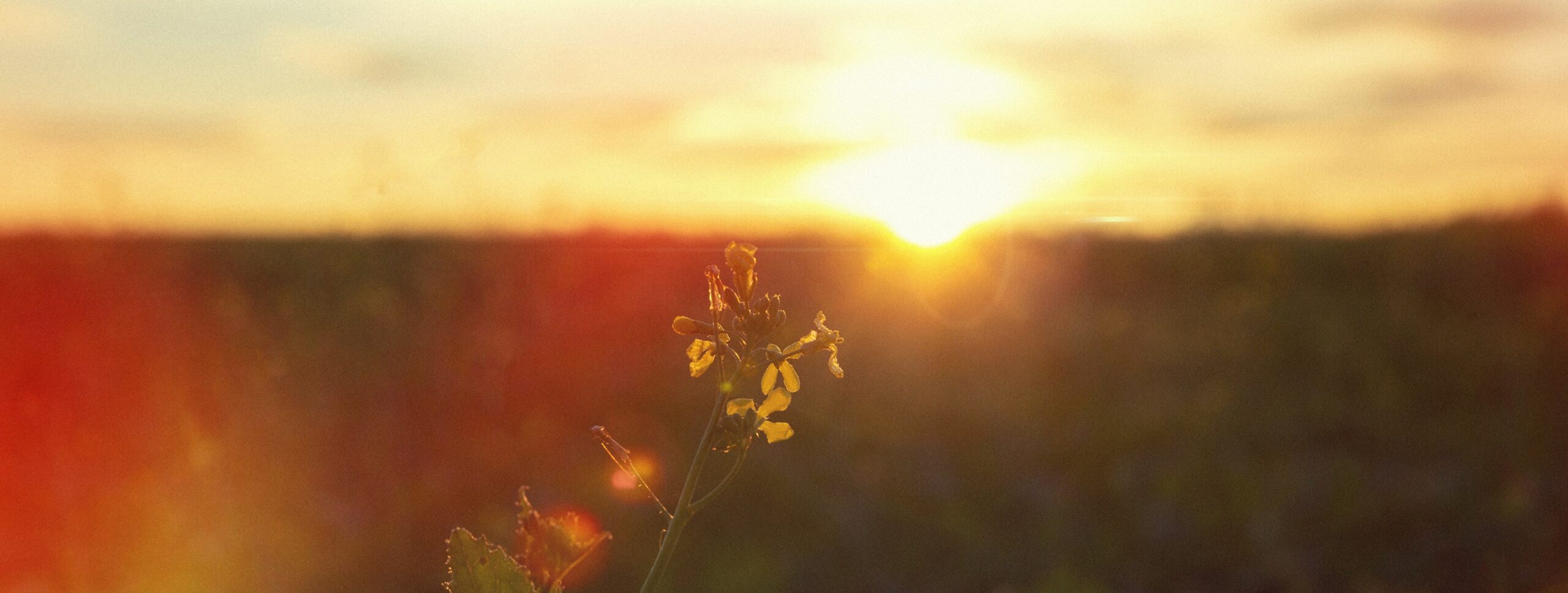 Экстремальная жара и холод повышают риск смерти от инсульта