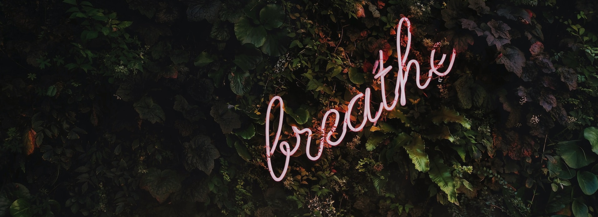 Дыхание с мячом поддержит психическое здоровье человека