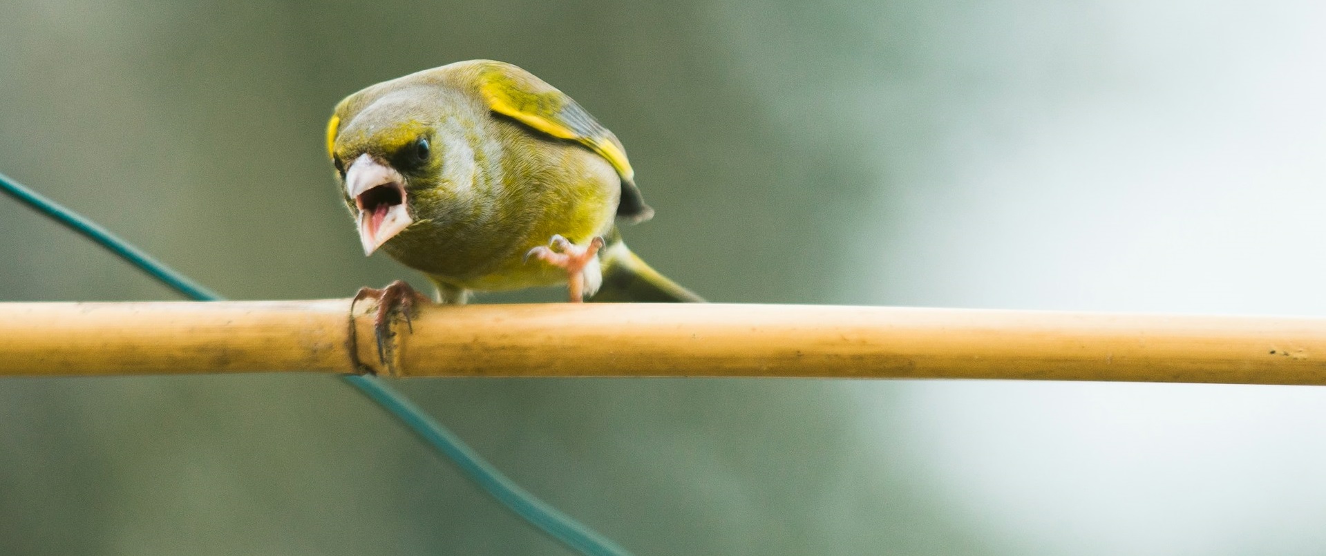 Записать и выбросить: ученые нашли простой способ избавиться от гнева