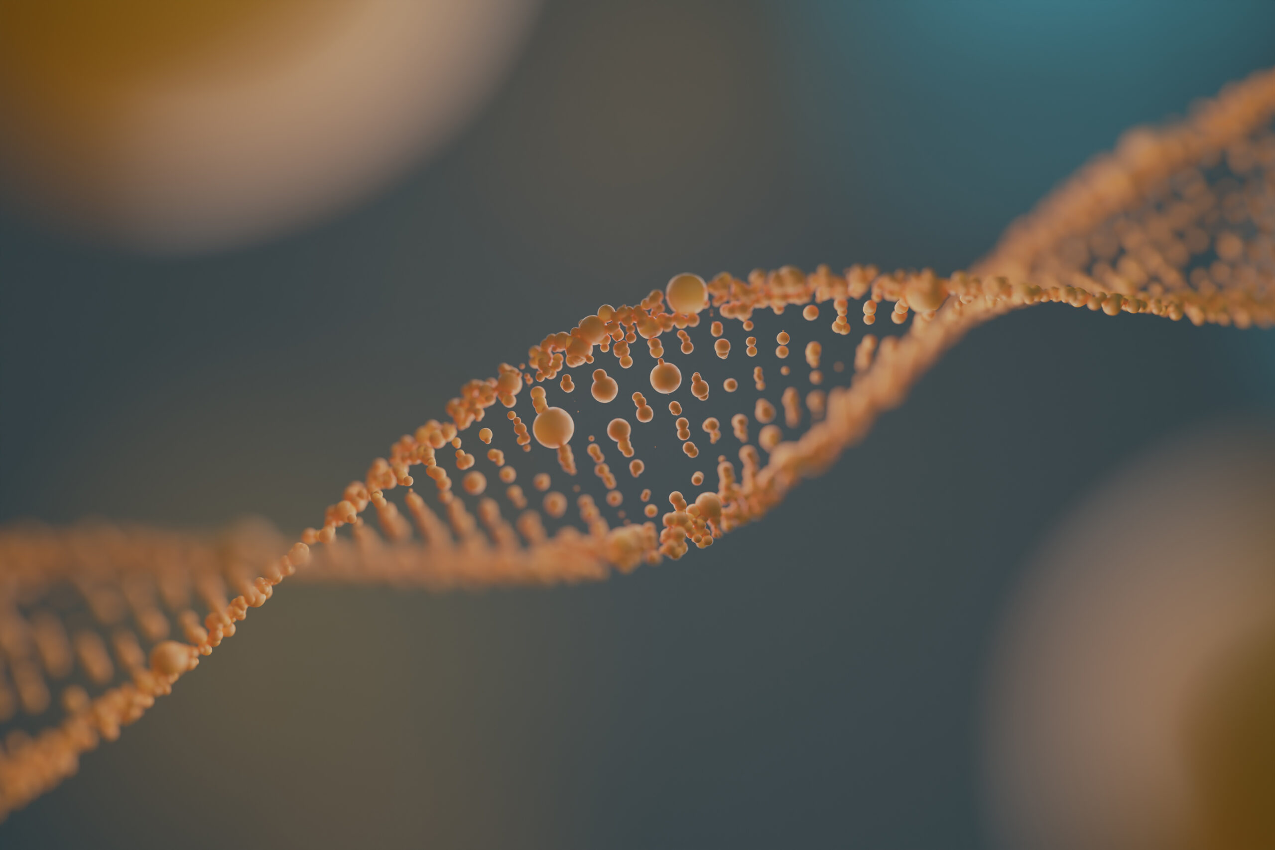 Антивозрастная молекула успешно восстанавливает маркеры молодости