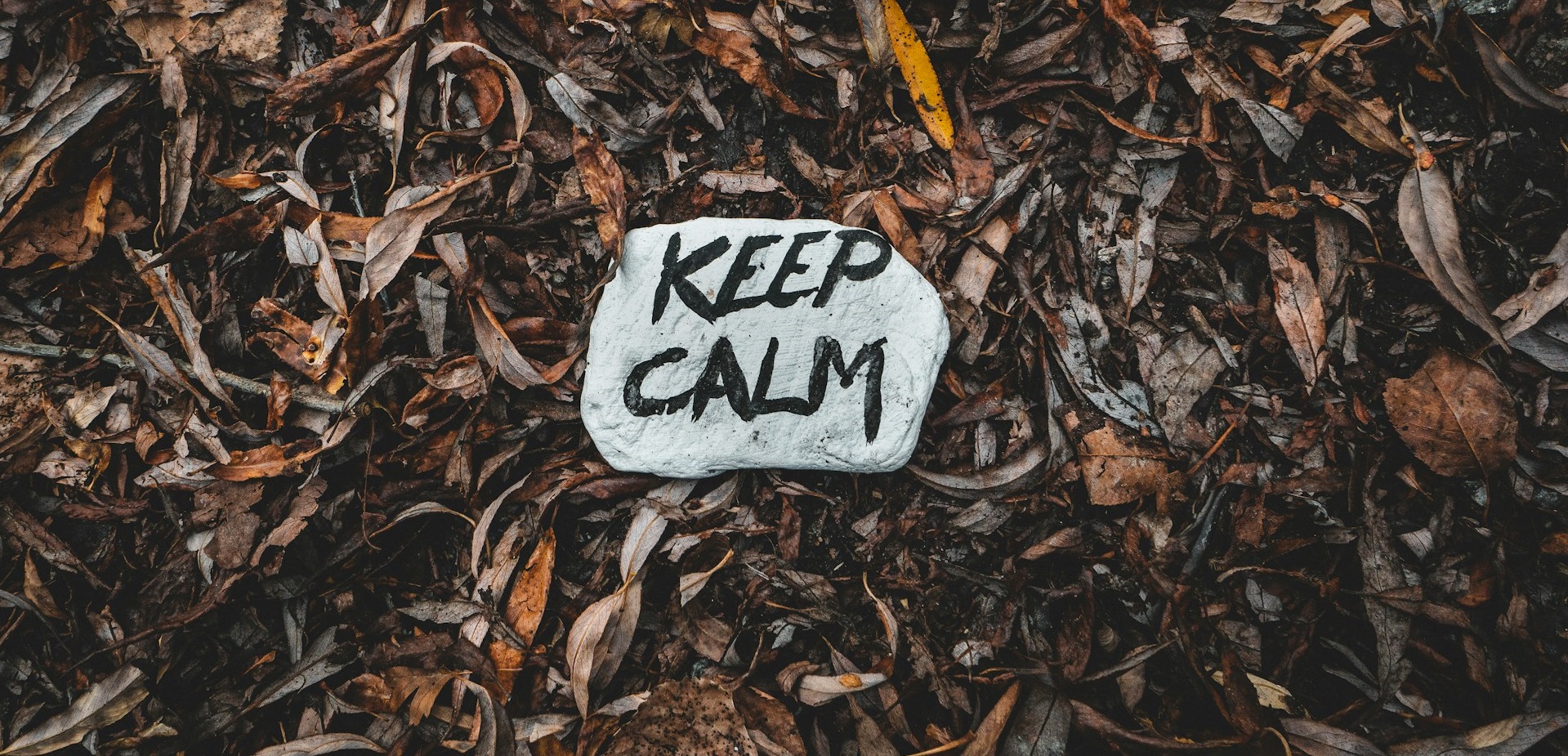 Тревожность удваивает риск развития болезни Паркинсона