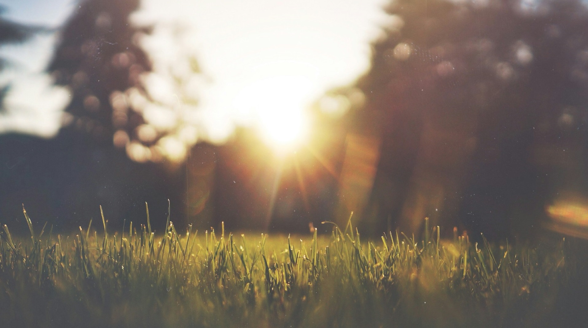 Воздействие яркого света днем улучшает ночной сон и снижает риск депрессии