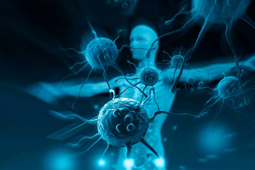 Иммунная система: как происходит распознавание «чужаков»?