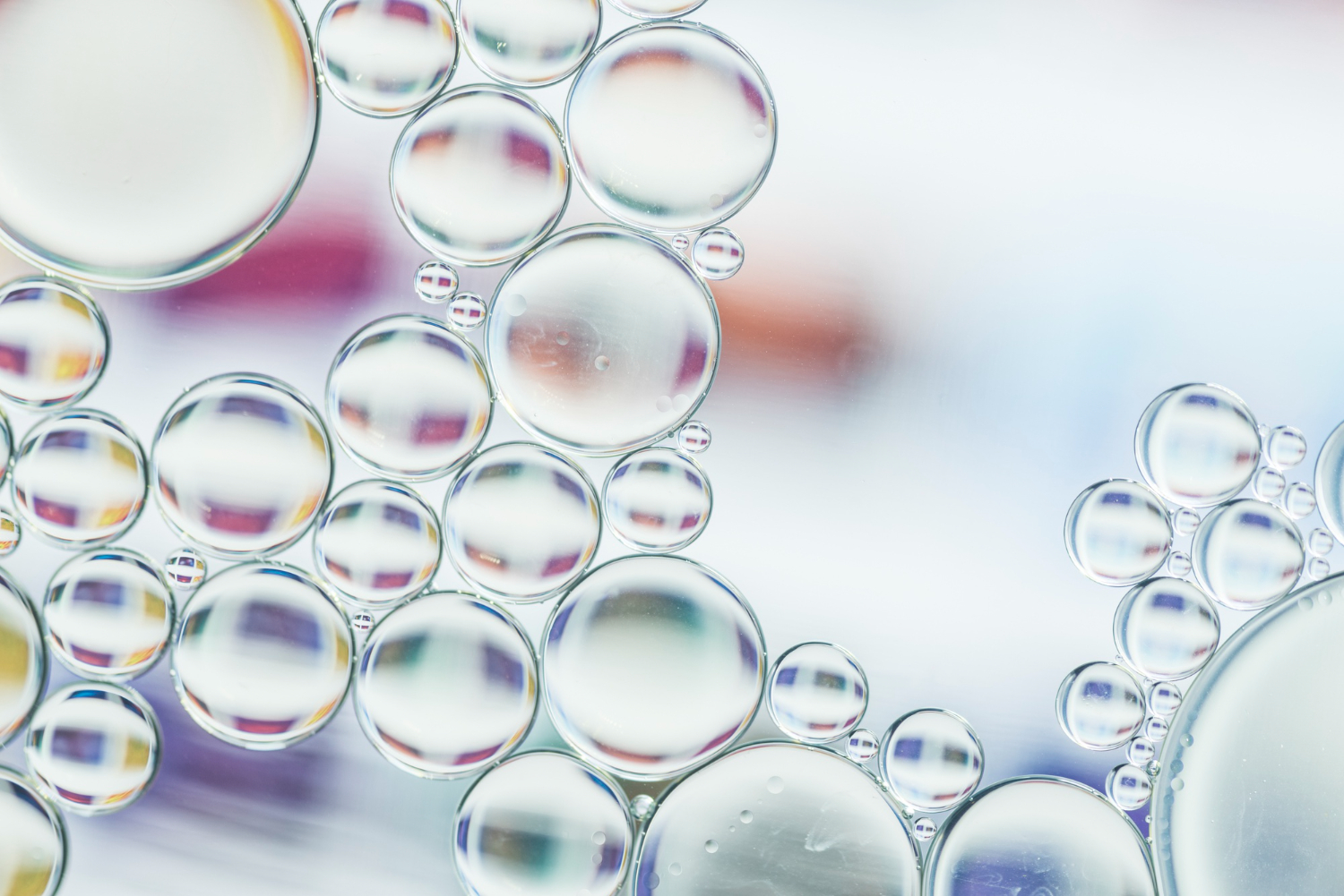 Раскрыт механизм быстрой реакции нейронов на эстроген