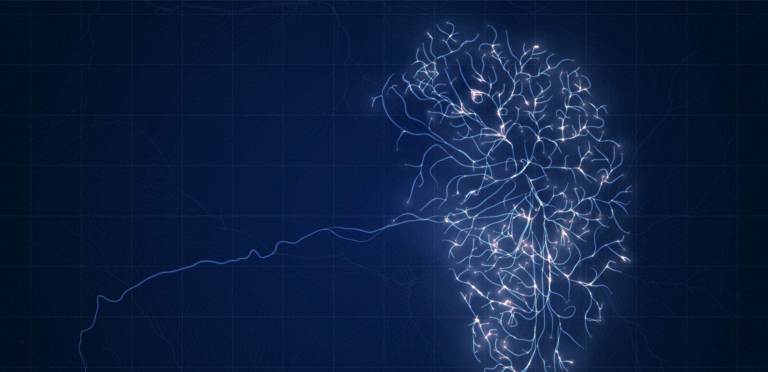 Анализ мозговых волн позволяет найти отличия между здоровым мозгом и при болезни Паркинсона