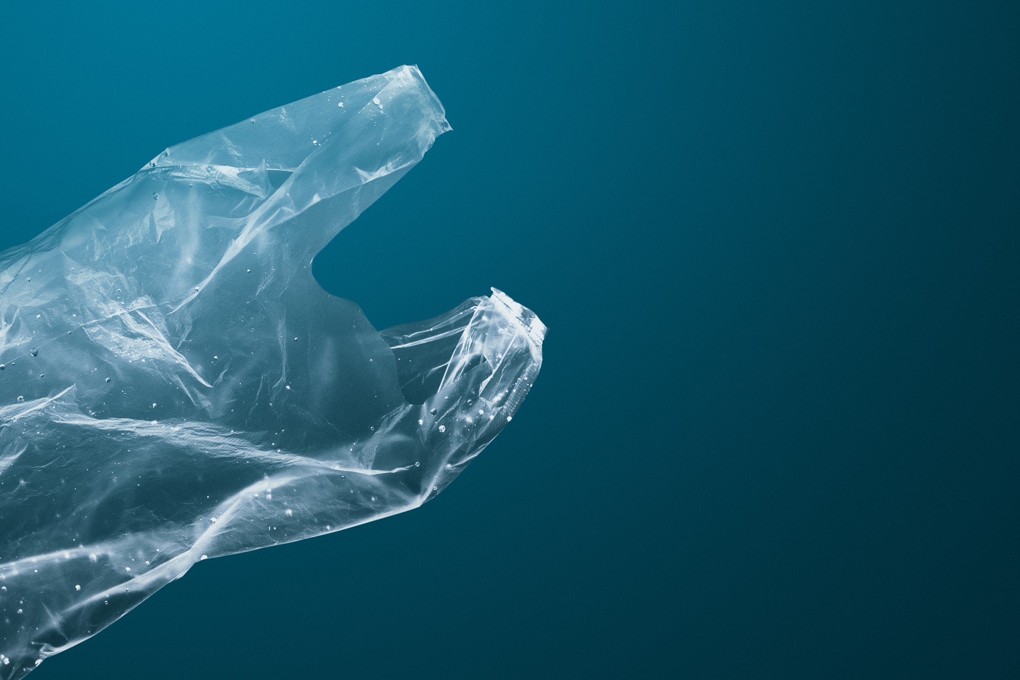 Токсичные вещества в пластмассе угрожают здоровью миллионов людей