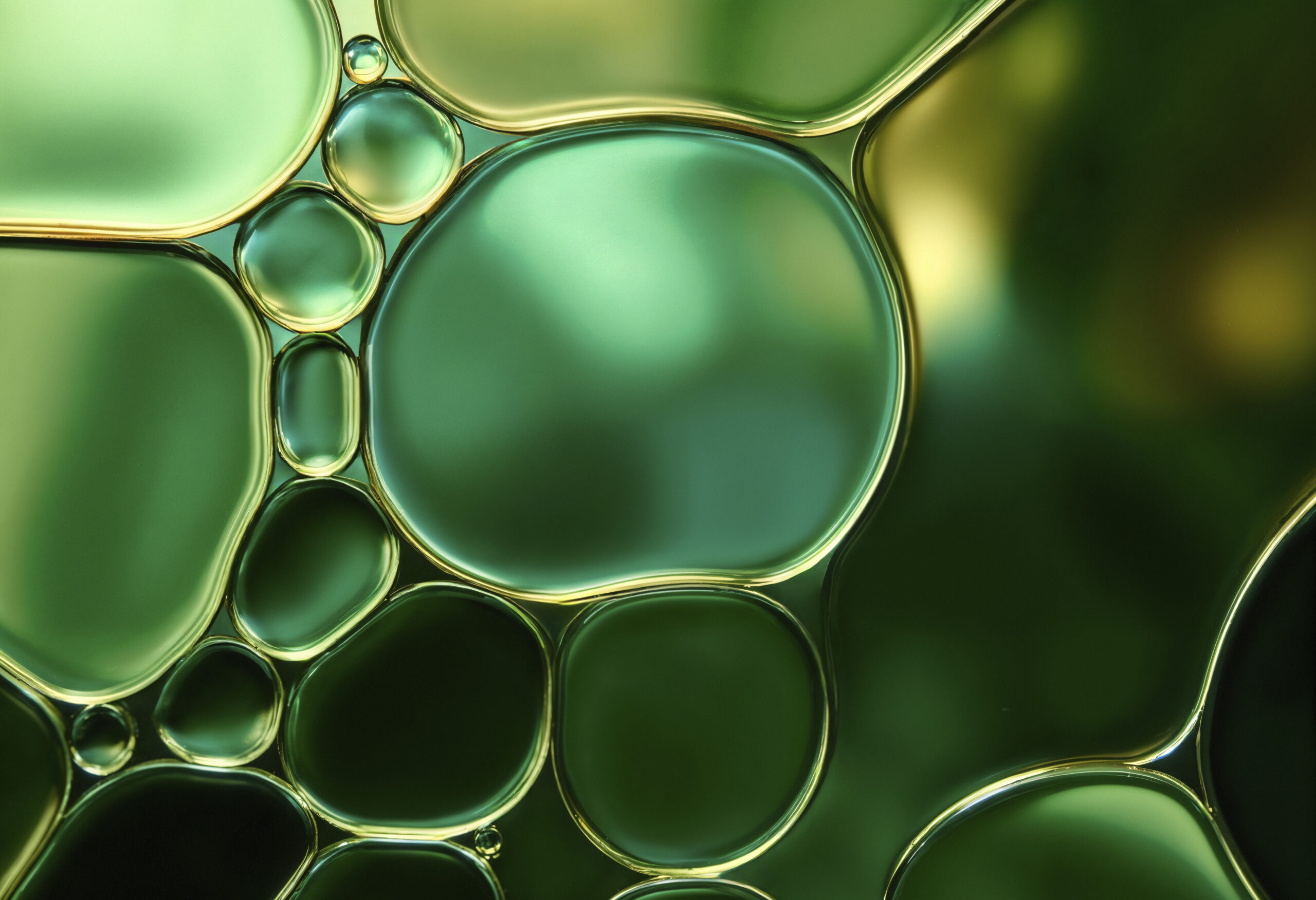 Five biomarkers for four neurodegenerative diseases