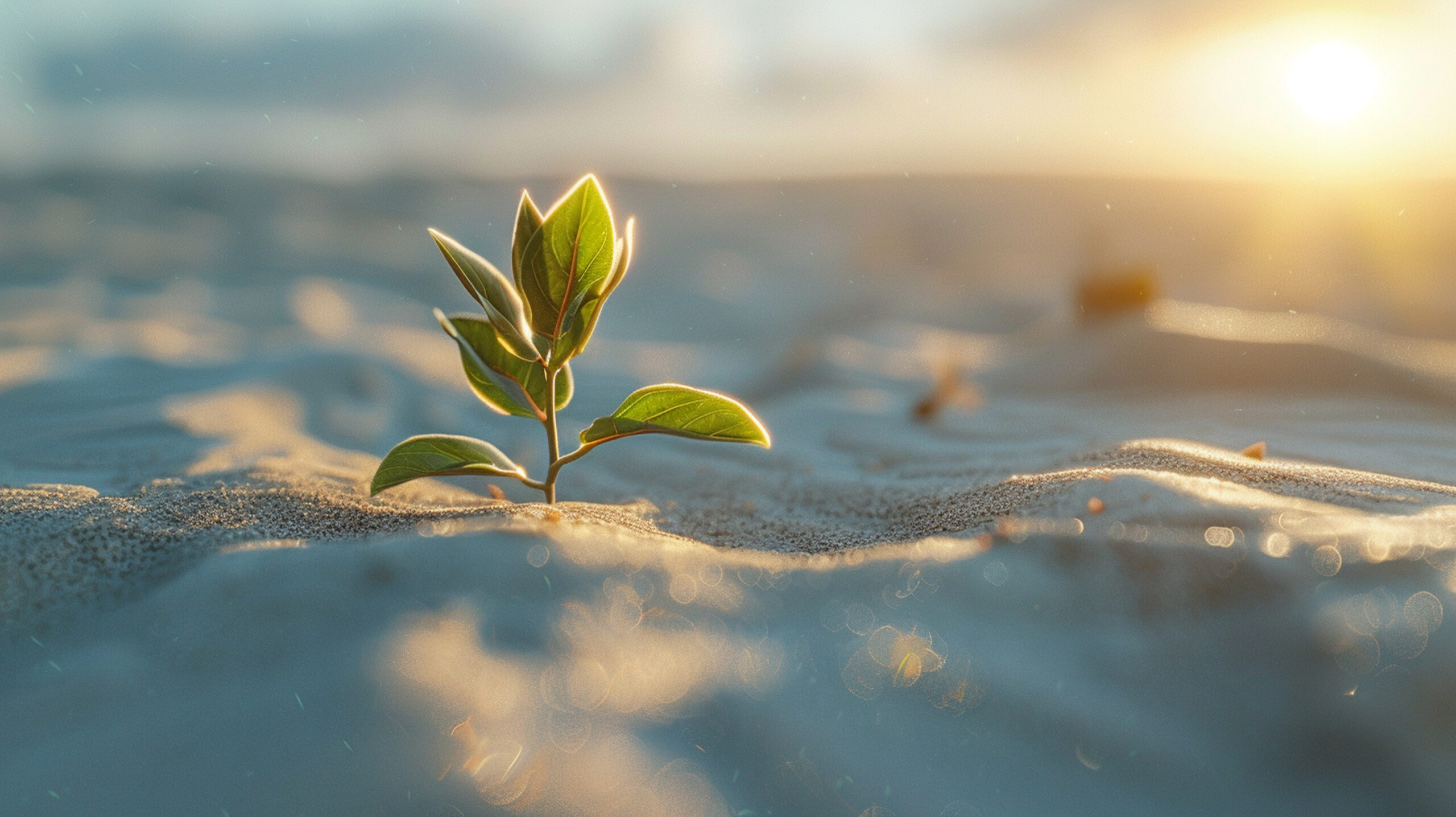 Предложен более точный способ оценивать ценность года здоровой жизни