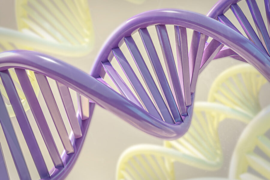 Иммунитет может состарить нас раньше времени