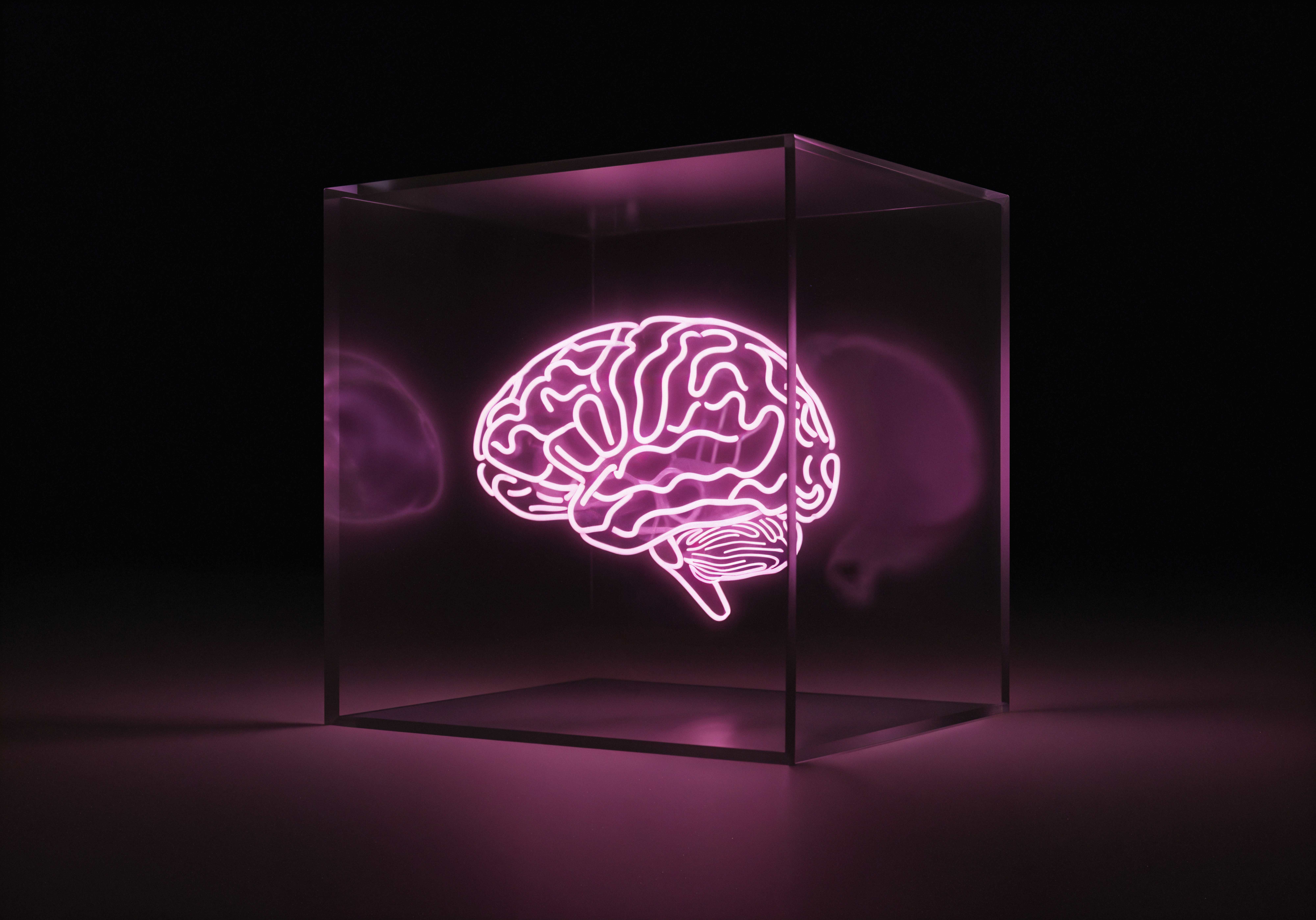 Стареющий мозг накапливает клеточный мусор