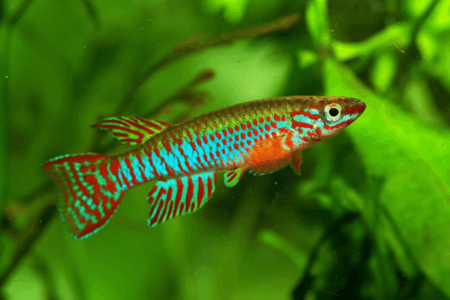 Повседневное поведение позволяет предсказать продолжительность жизни