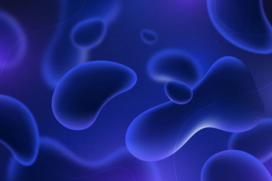 Обнаружен механизм восстановления клеток мозга от поврежденных белков