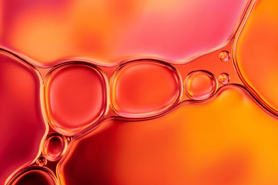 Large-scale atlas of aging cells can help in the treatment of age-related diseases