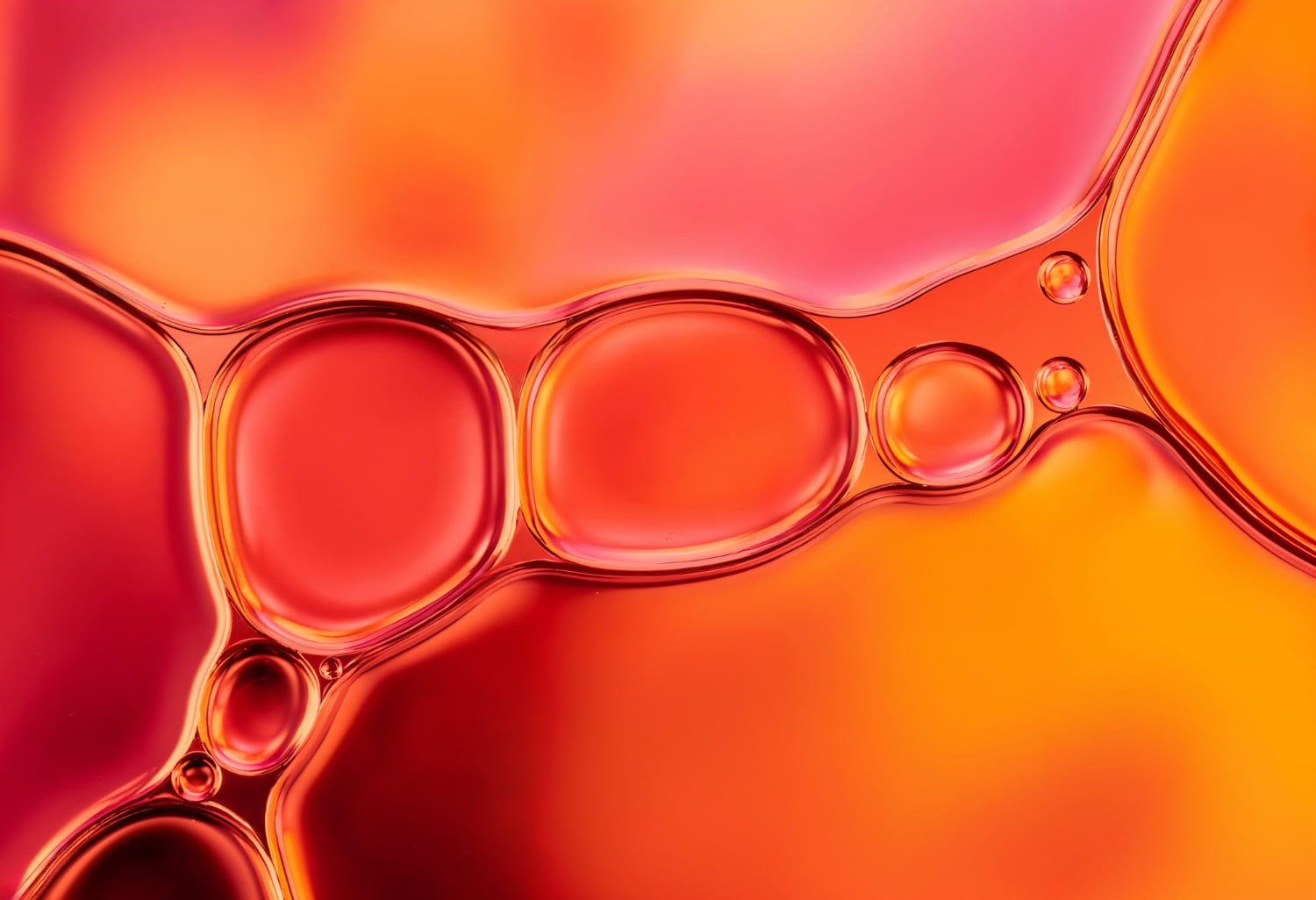 Large-scale atlas of aging cells can help in the treatment of age-related diseases