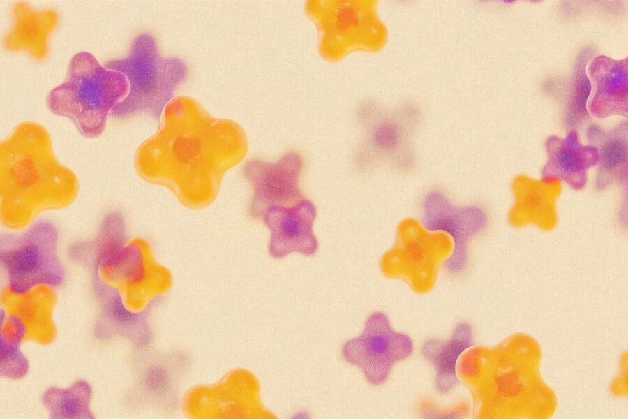 Cellular changes in the hippocampus can lead to dementia