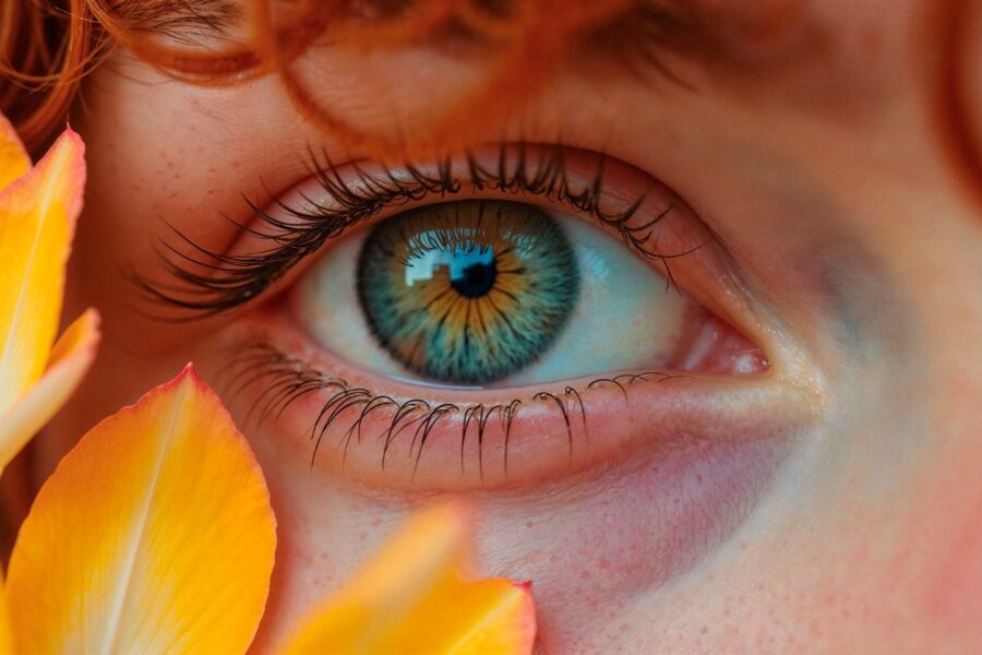 Aging hinders the retina’s ability to regenerate neurons