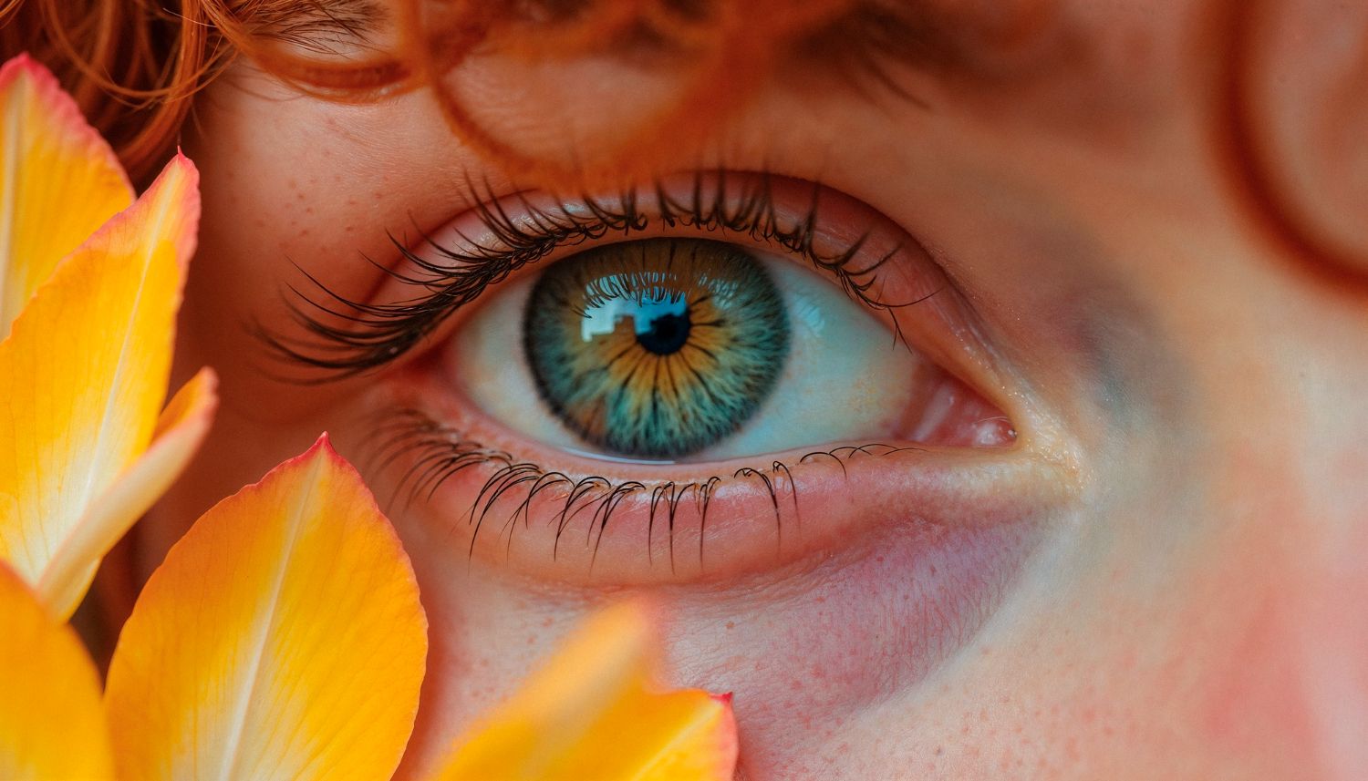 Aging hinders the retina’s ability to regenerate neurons